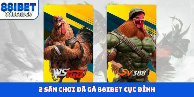 2 sân chơi đá gà 88IBET cực đỉnh