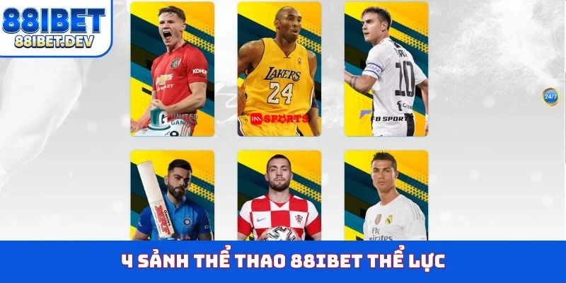 4 sảnh thể thao 88IBET thể lực