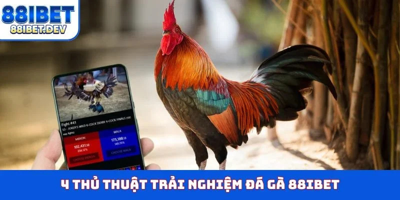 4 thủ thuật trải nghiệm đá gà 88IBET