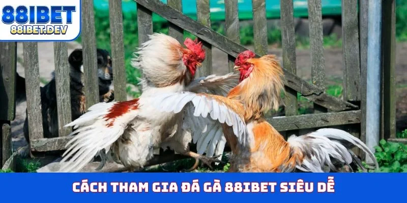 Cách tham gia đá gà 88IBET siêu dễ