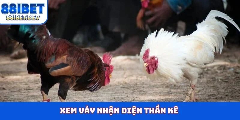 Xem vảy nhận diện thần kê
